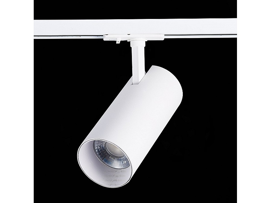 Светильник на штанге ST-Luce Mono ST350.546.30.36