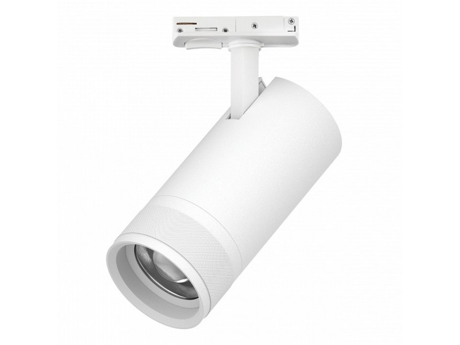 Светильник на штанге Lightstar Canno Pro C4306SS