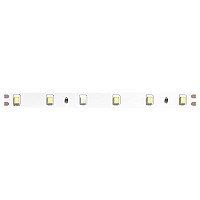 Лента светодиодная Arte Lamp Tape A2406008-03-6K