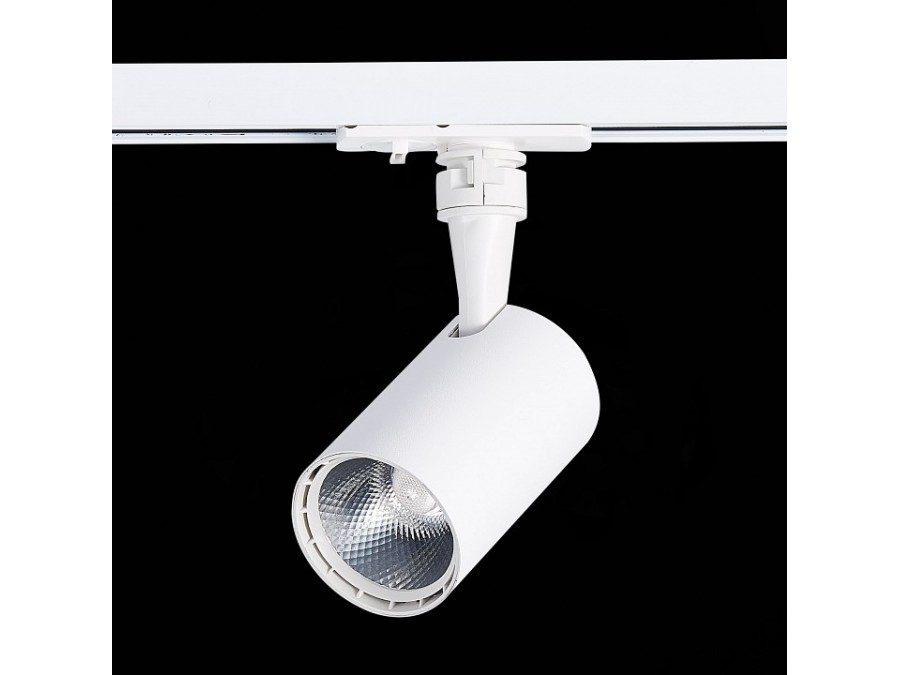 Светильник на штанге ST-Luce Cami ST351.536.10.24