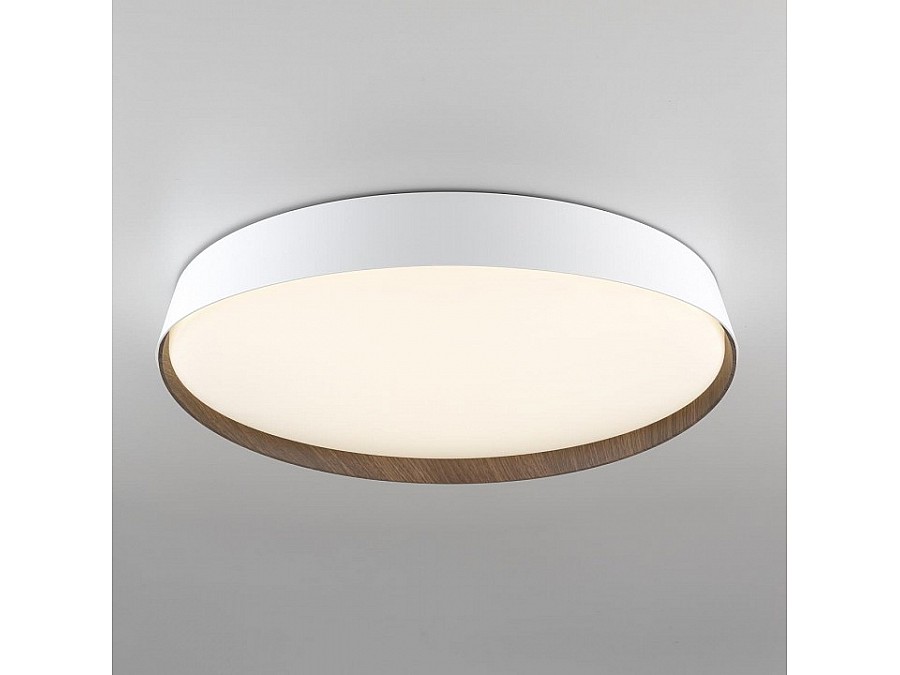 Накладной светильник Citilux BONNY CL754450G