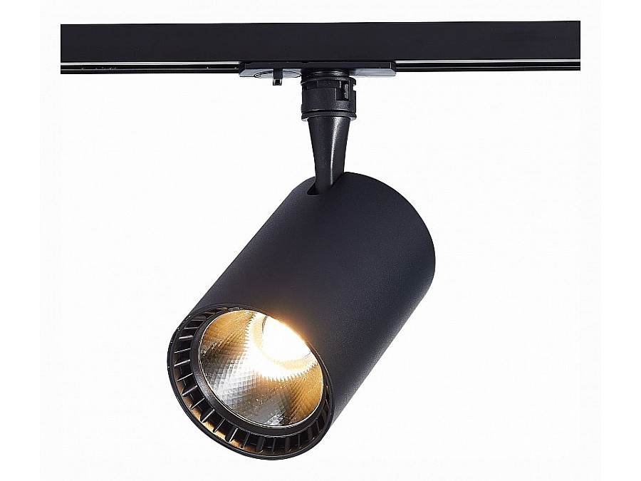 Светильник на штанге ST-Luce Cami ST351.446.20.36