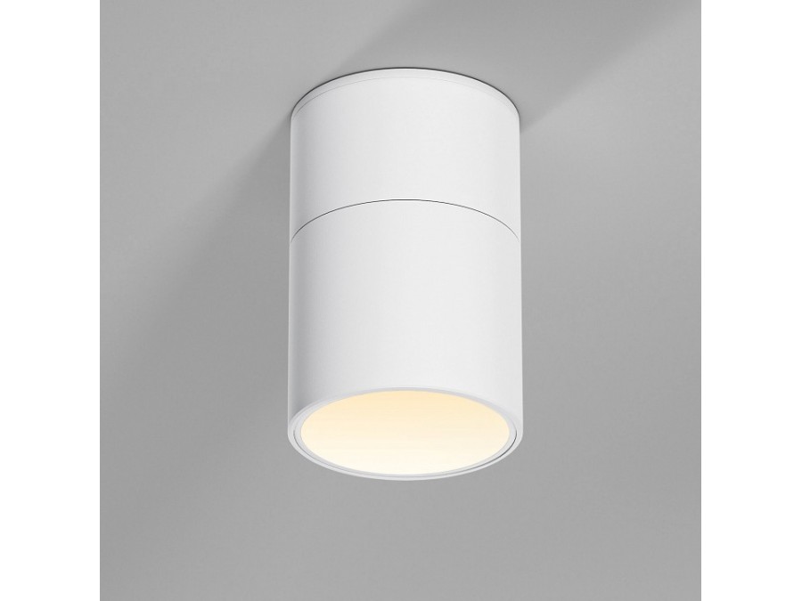 Накладной светильник Elektrostandard Rolly a067486