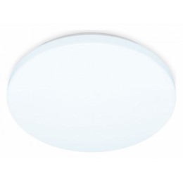 Накладной светильник Ambrella FZ FZ1009