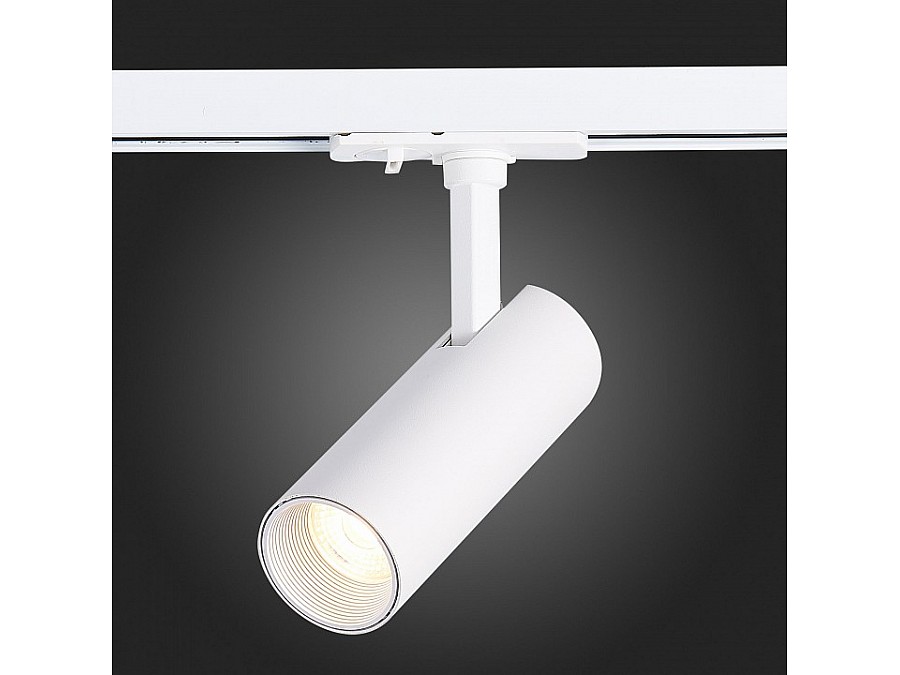 Светильник на штанге ST-Luce Mono ST350.536.10.36