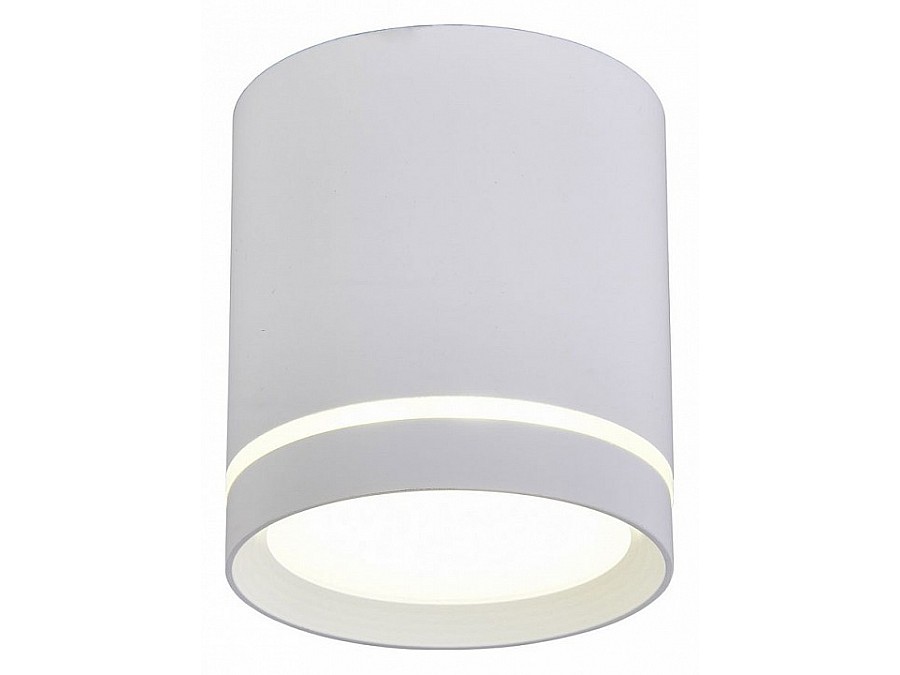 Накладной светильник Omnilux Capurso OML-102409-05