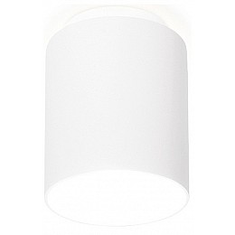 Накладной светильник Ambrella TN TN260