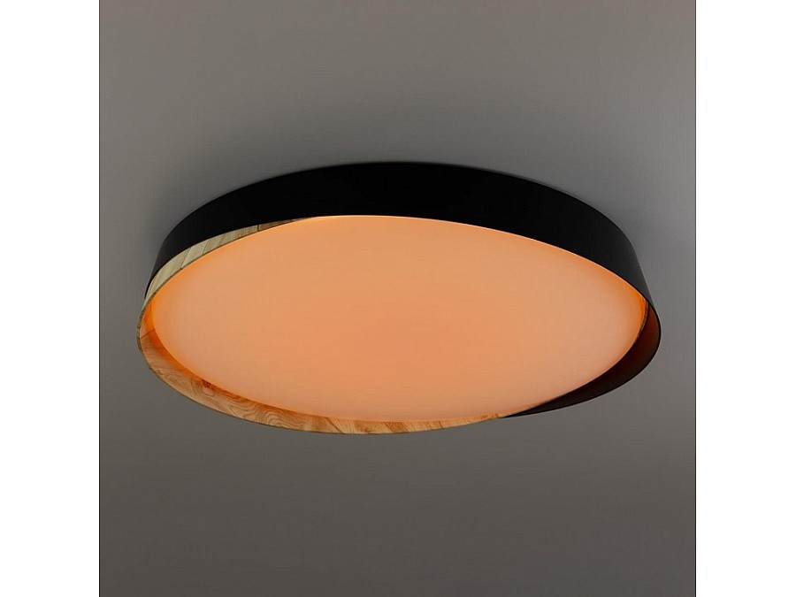 Накладной светильник Citilux BONNY CL754451G