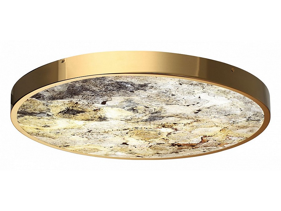Накладной светильник Odeon Light Bergi 5079/50L