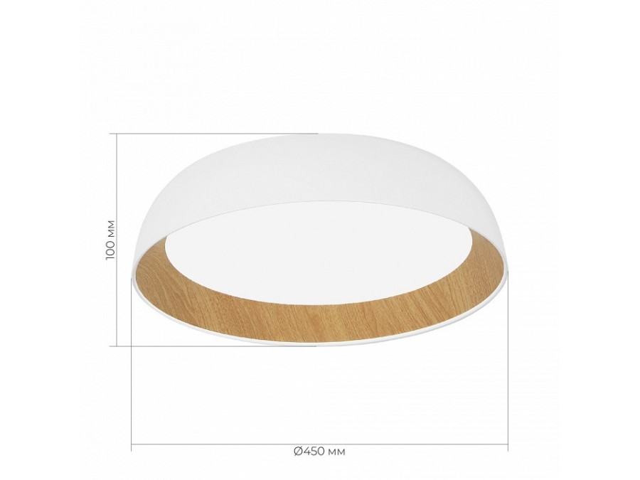 Накладной светильник EVOLUCE MUSE SLE1812-502-01