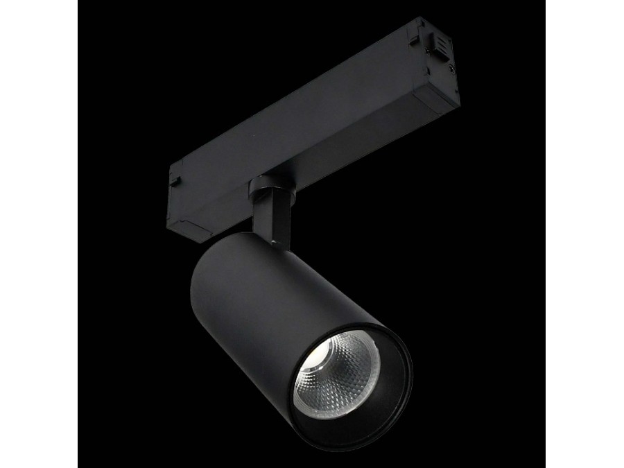 Светильник на штанге ST-Luce SKYLINE 220 ST660.496.10H