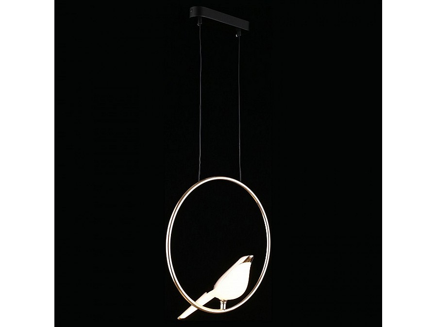 Подвесной светильник Aployt Astor APL.822.06.10