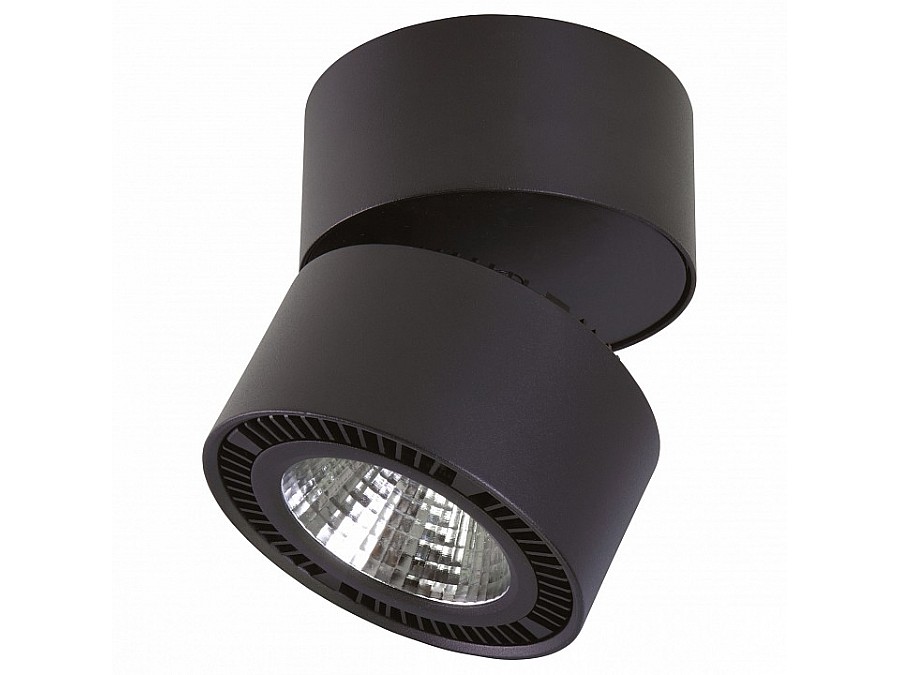 Светильник на штанге Lightstar Forte Muro LED 214837