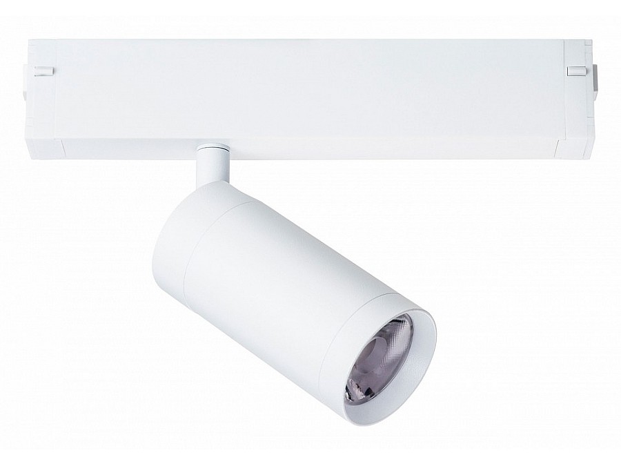 Светильник на штанге Lightstar Teta 205026