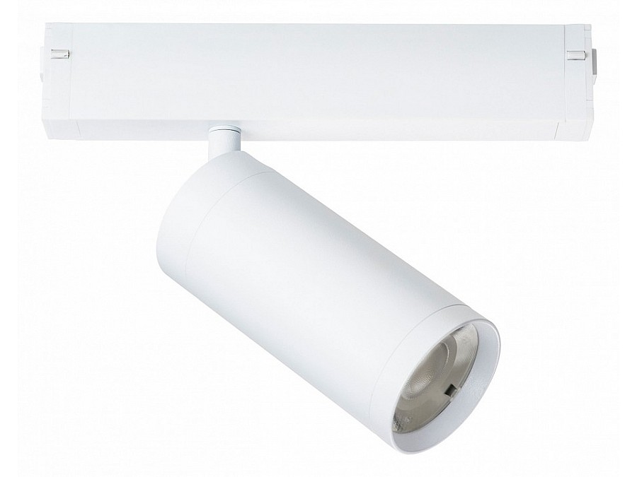 Светильник на штанге Lightstar Teta 205036
