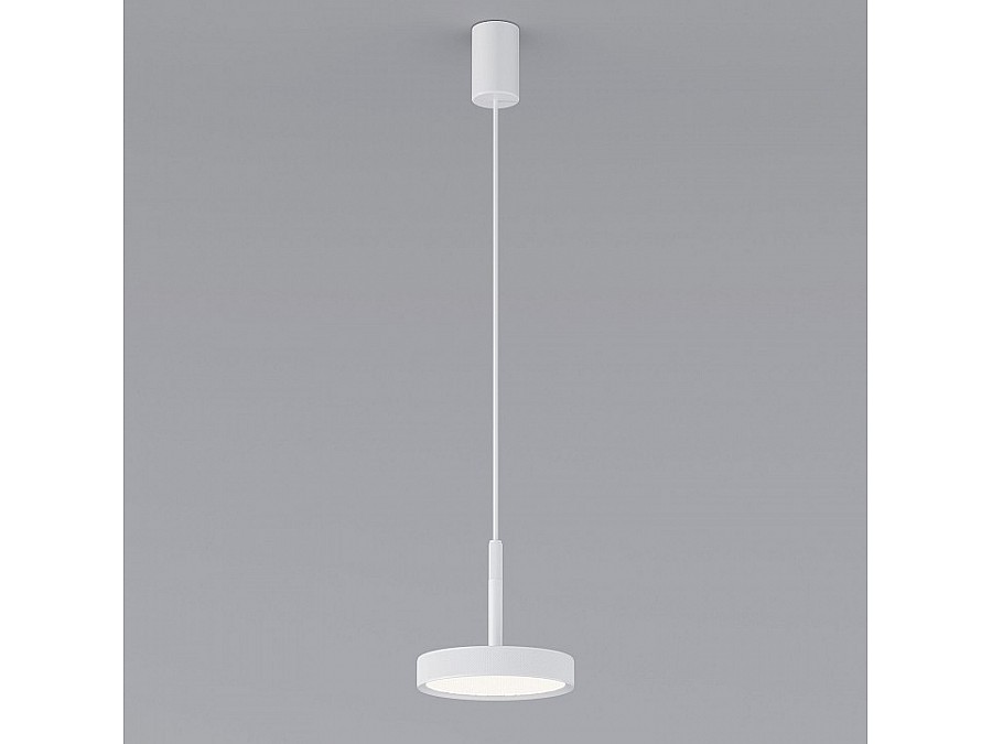 Подвесной светильник Elektrostandard Plate a065412