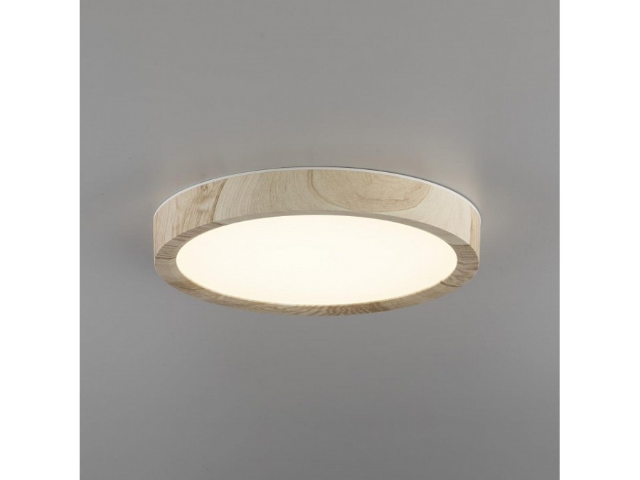 Накладной светильник Citilux Бейсик CL738122N