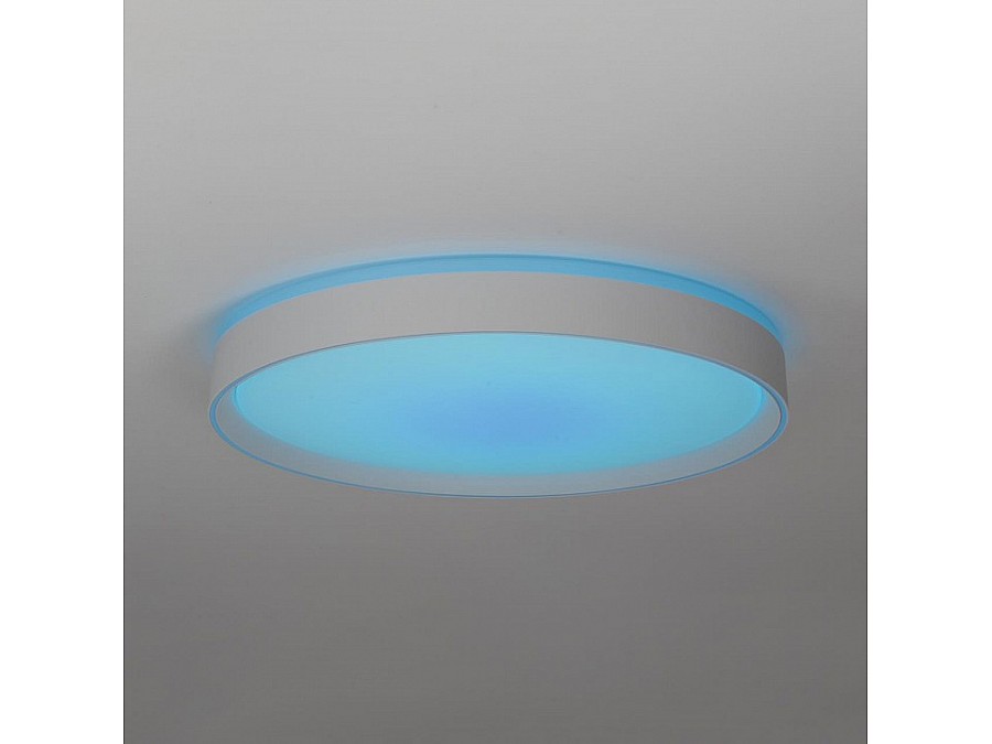 Накладной светильник Citilux BOSS CL751450G