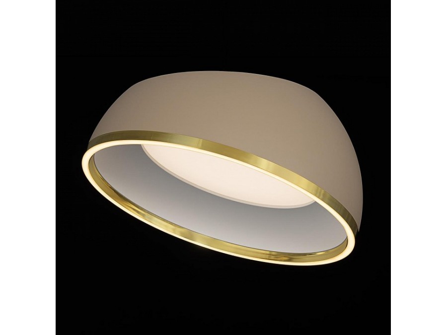 Накладной светильник Citilux FLOOM CL736152