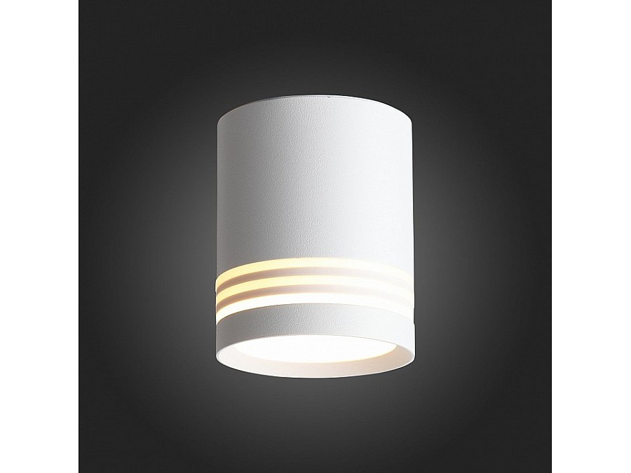 Накладной светильник ST-Luce Cerrione ST101.542.05