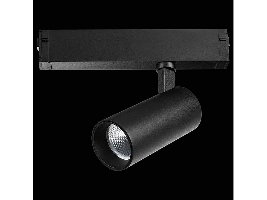 Светильник на штанге Lightstar Teta 205037R