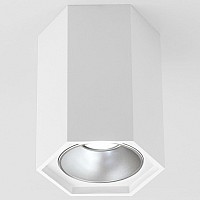 Накладной светильник Elektrostandard 25036/LED 25036/LED