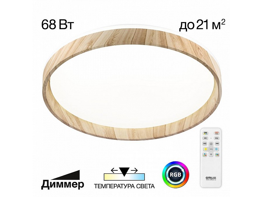Накладной светильник Citilux ENZO CL753452G