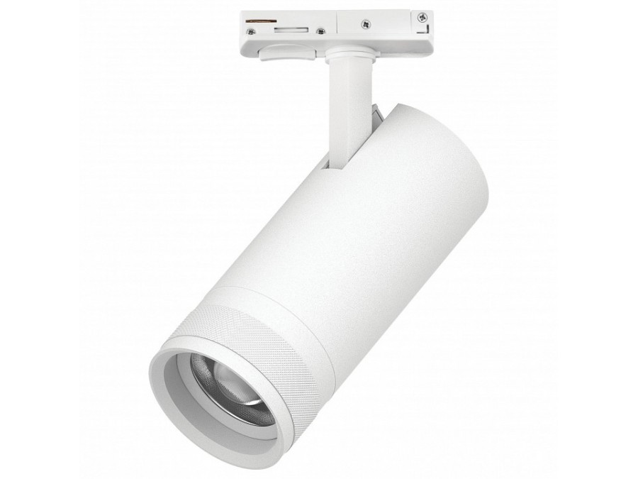 Светильник на штанге Lightstar Canno Pro C4206SS