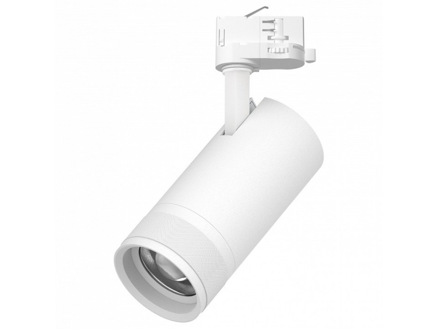 Светильник на штанге Lightstar Canno Pro C4306QT