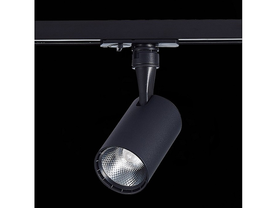 Светильник на штанге ST-Luce Cami ST351.446.10.36