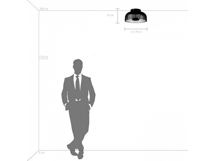 Накладной светильник Lightstar Celesta 809061