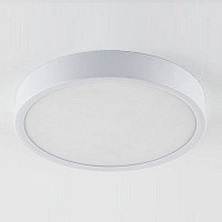 Накладной светильник Elektrostandard DLR034 a043015