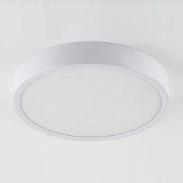 Накладной светильник Elektrostandard DLR034 a043015