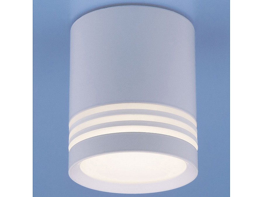 Накладной светильник Elektrostandard DLR032 a041262