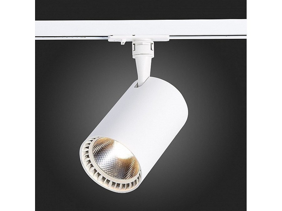 Светильник на штанге ST-Luce Cami ST351.536.30.24