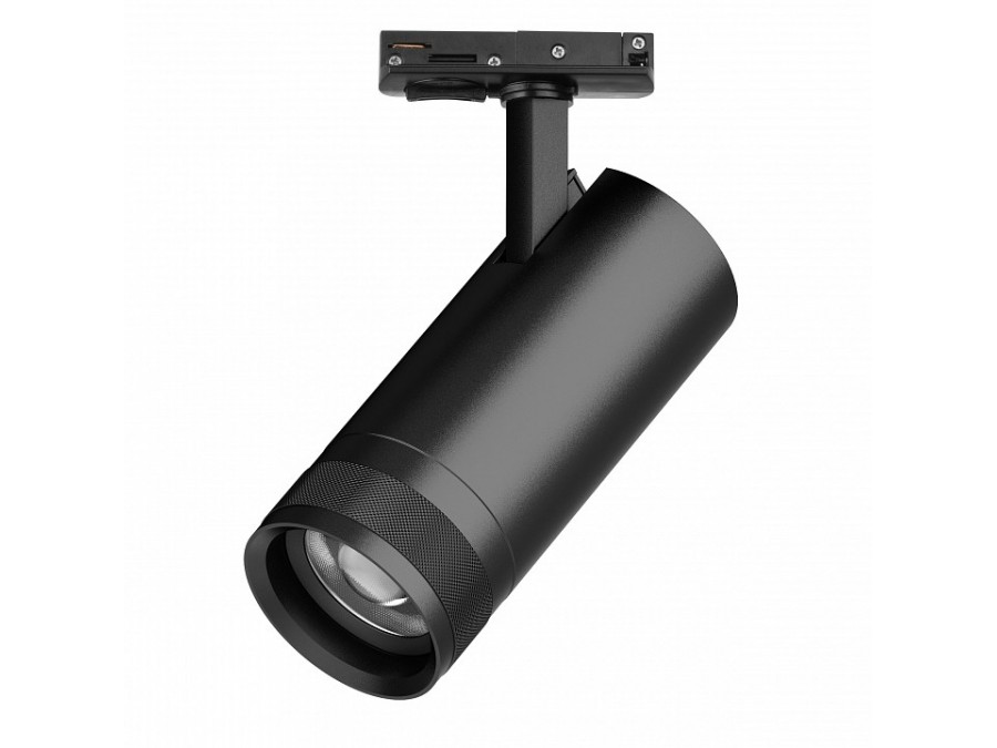 Светильник на штанге Lightstar Canno Pro C4207SS