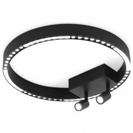 Накладной светильник Ambrella FL FL5806