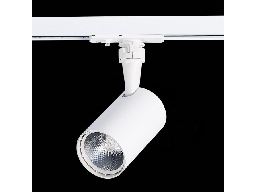 Светильник на штанге ST-Luce Cami ST351.546.10.36