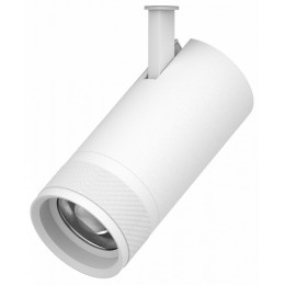 Светильник на штанге Lightstar Canno Pro 304306