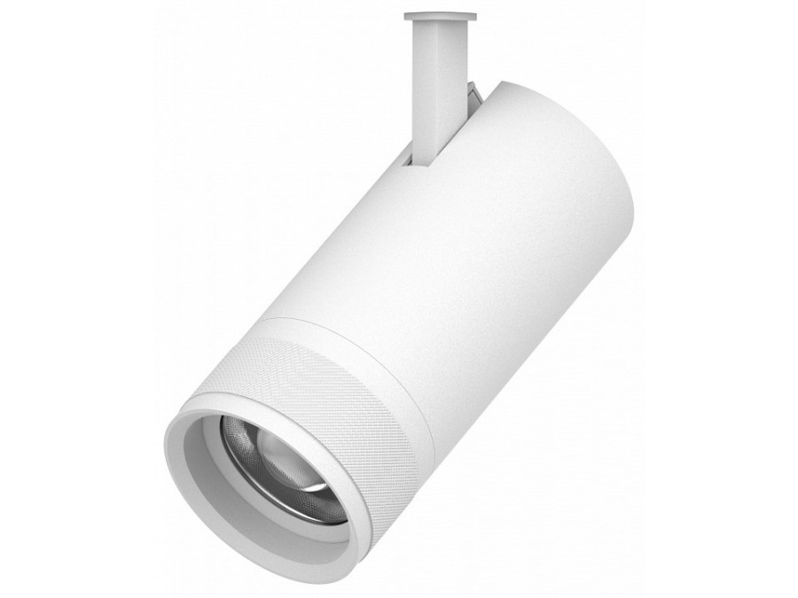 Светильник на штанге Lightstar Canno Pro 304306