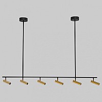 Светильник на штанге Eurosvet Epiphania 20252/6 LED черный/латунь