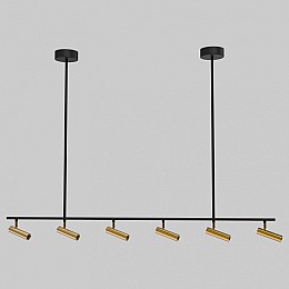 Светильник на штанге Eurosvet Epiphania 20252/6 LED черный/латунь