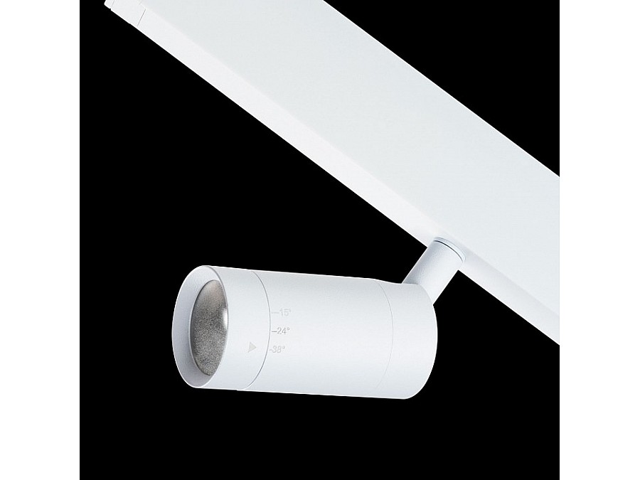 Светильник на штанге Lightstar Teta 205016