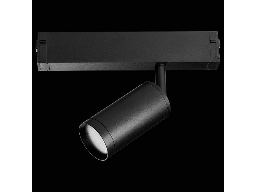 Светильник на штанге Lightstar Teta 205027R