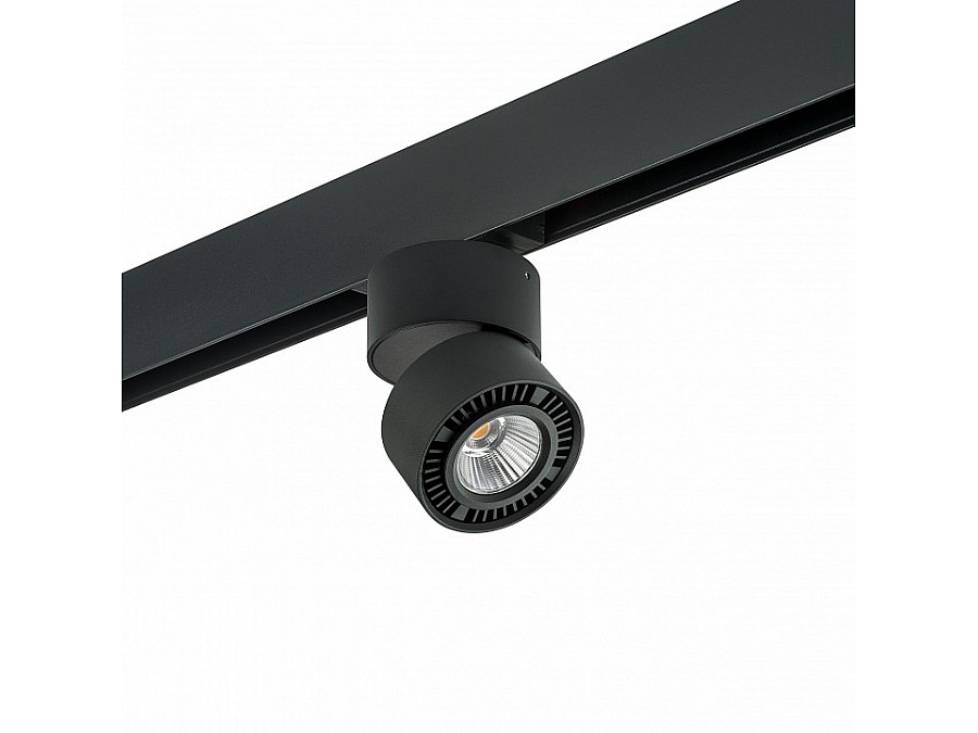 Светильник на штанге Lightstar Forte Muro PRO214817