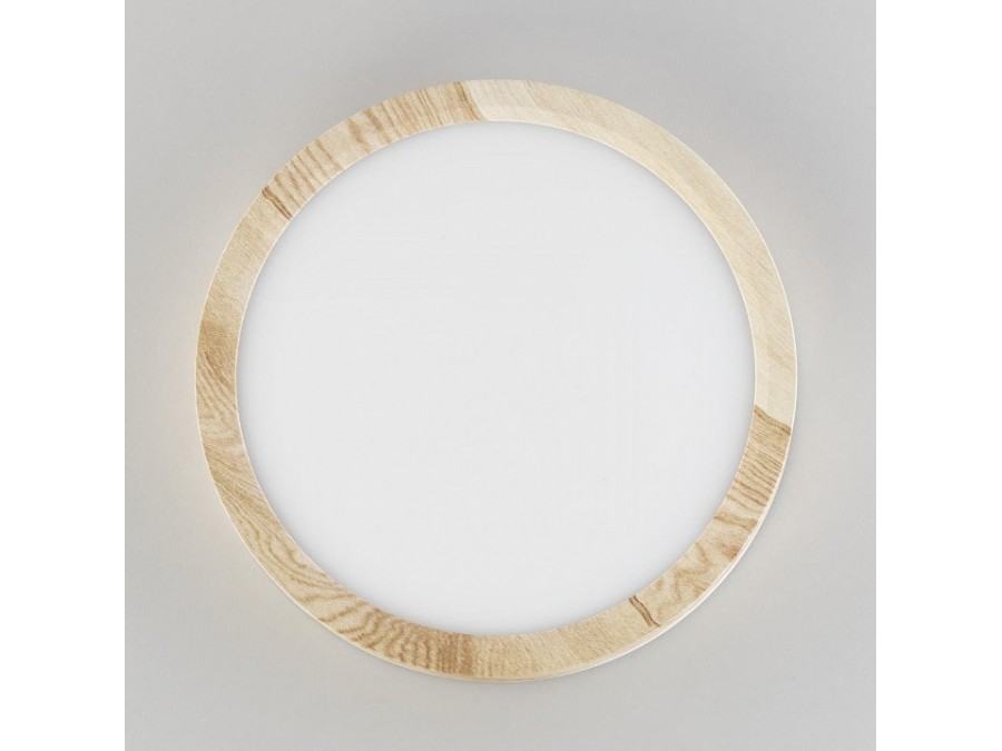 Накладной светильник Citilux Бейсик CL738122N