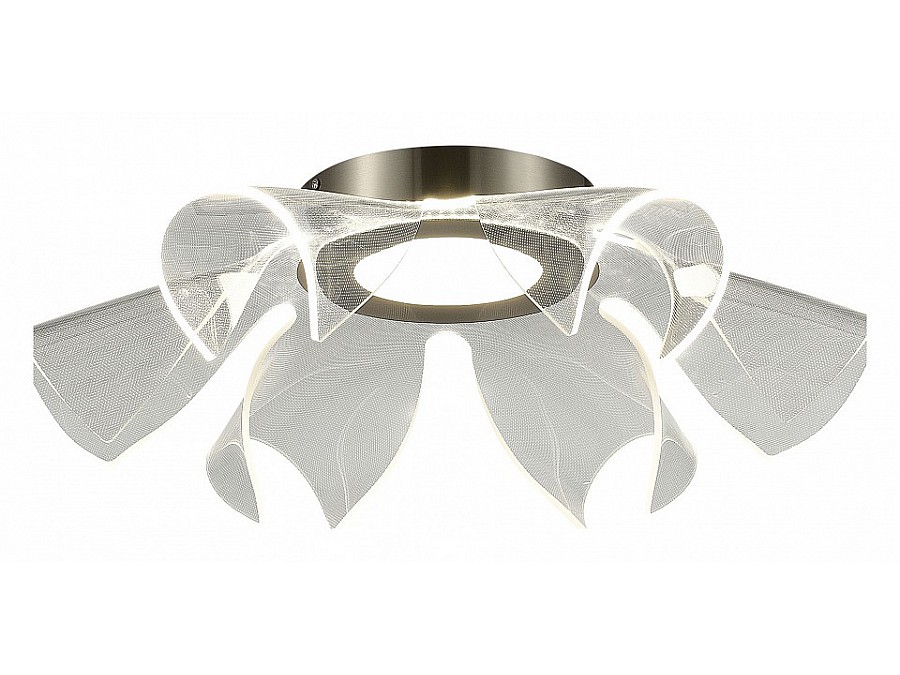 Накладной светильник ST-Luce Fairy SL6235.102.20