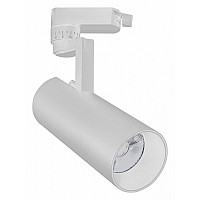 Светильник на штанге Escada 20029 20029TRA/02LED SWH