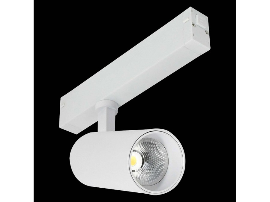 Светильник на штанге ST-Luce SKYLINE 220 ST660.596.20H