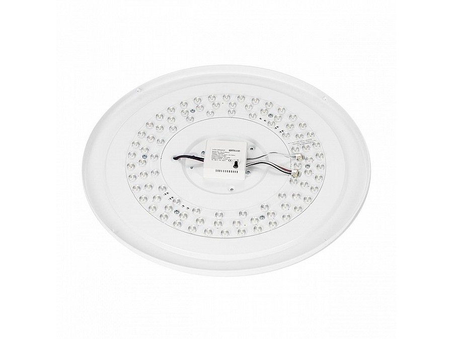 Накладной светильник Citilux BOSS CL751451G